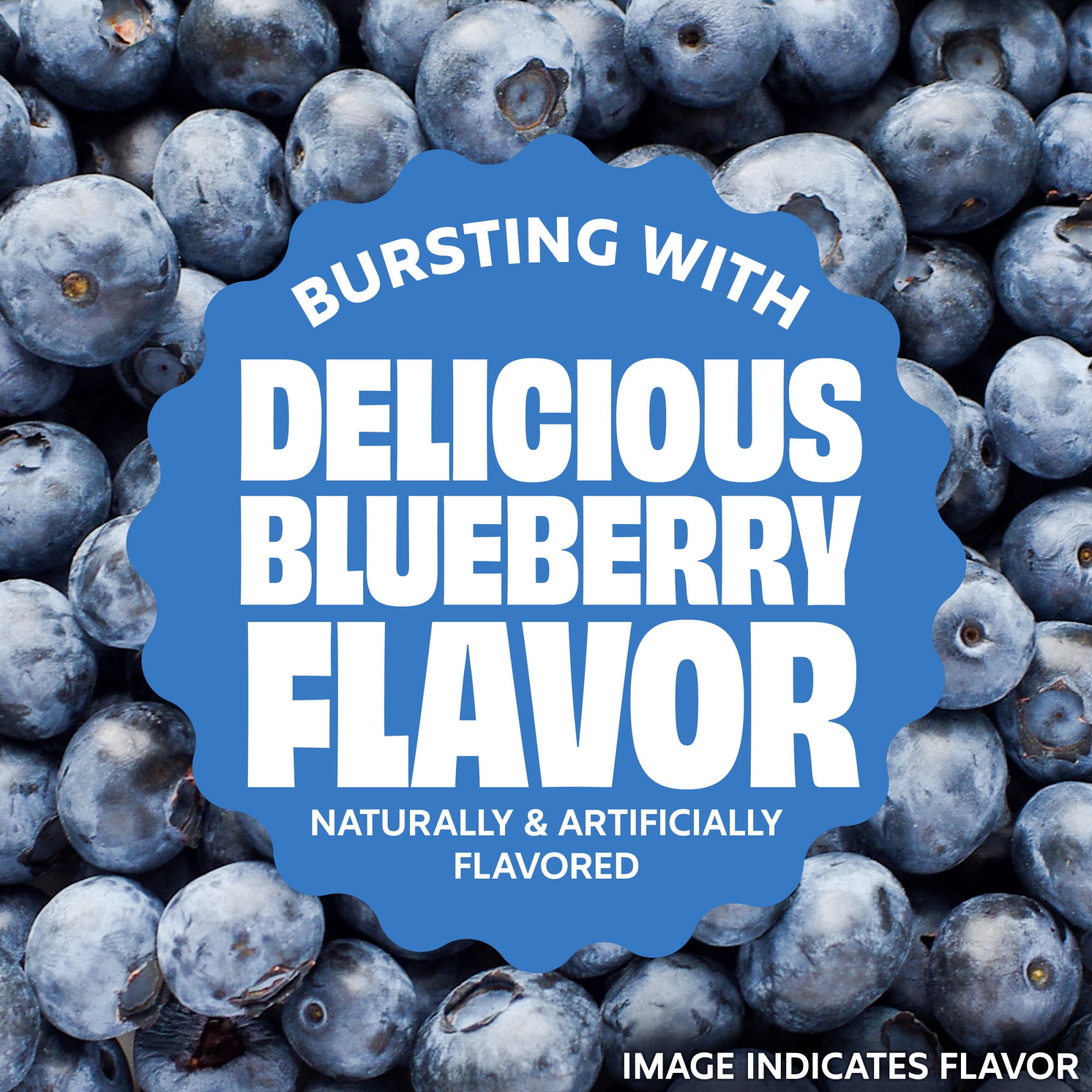 (12 pack) Premier Protein Blueberry Protein Muffin Cup, 2.3 oz