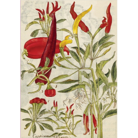 Journal Chili Peppers & Shiso Leaves Blank Hardcover Journal: Blank Notebook with Ribbon Bookmark, (Hardcover)