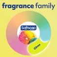 thumbnail image 4 of Softsoap Antibacterial Hand Soap, Kitchen Fresh Hands - 11.25 fluid ounce (6 Pack), 4 of 10