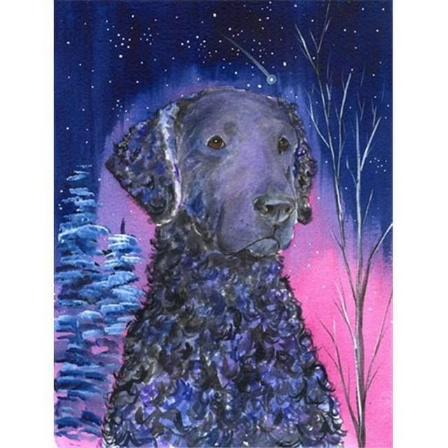 Carolines Treasures SS8354CHF Starry Night Frisée Toile Drapeau Retriever Enduite - Taille de la Maison
