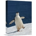 thumbnail image 1 of Global Gallery Sergey Kokinskiy,'Life Is Good' Stretched Canvas Artwork, 1 of 3