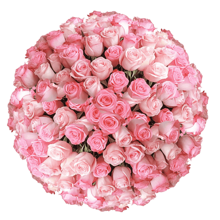 150 X Long Stem Assorted Pink Roses- Beautiful Fresh Cut Flowers- Express Delivery 150 X Long Stem Assorted Pink Roses- Beautiful Fresh Cut Flowers- Express Delivery