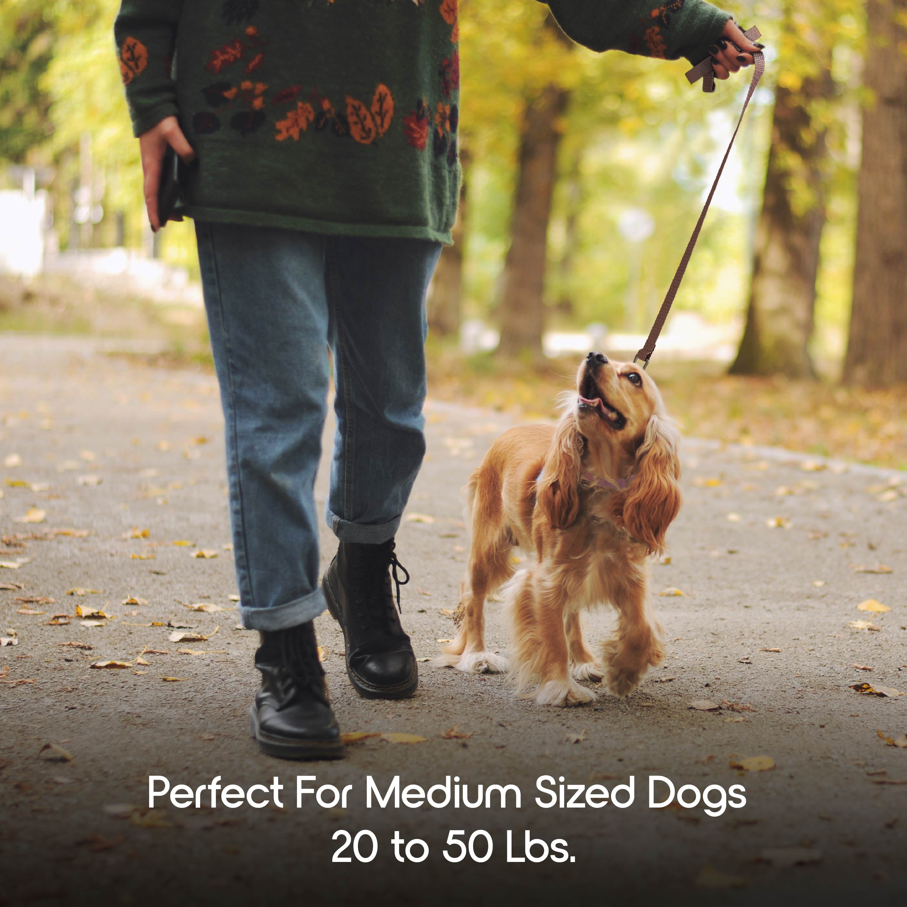 Vibrant Life 5 ft Nylon Anti-Shock Padded Dog Leash, Pink, Medium / Large