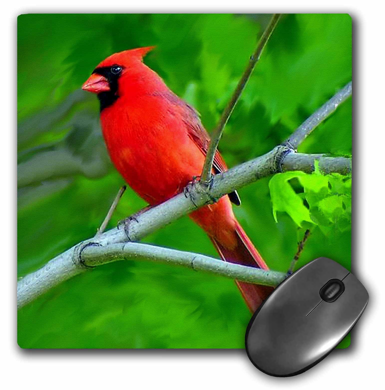 3dRose Red Cardinal, Mouse Pad, 8 by 8 inches - Walmart.com