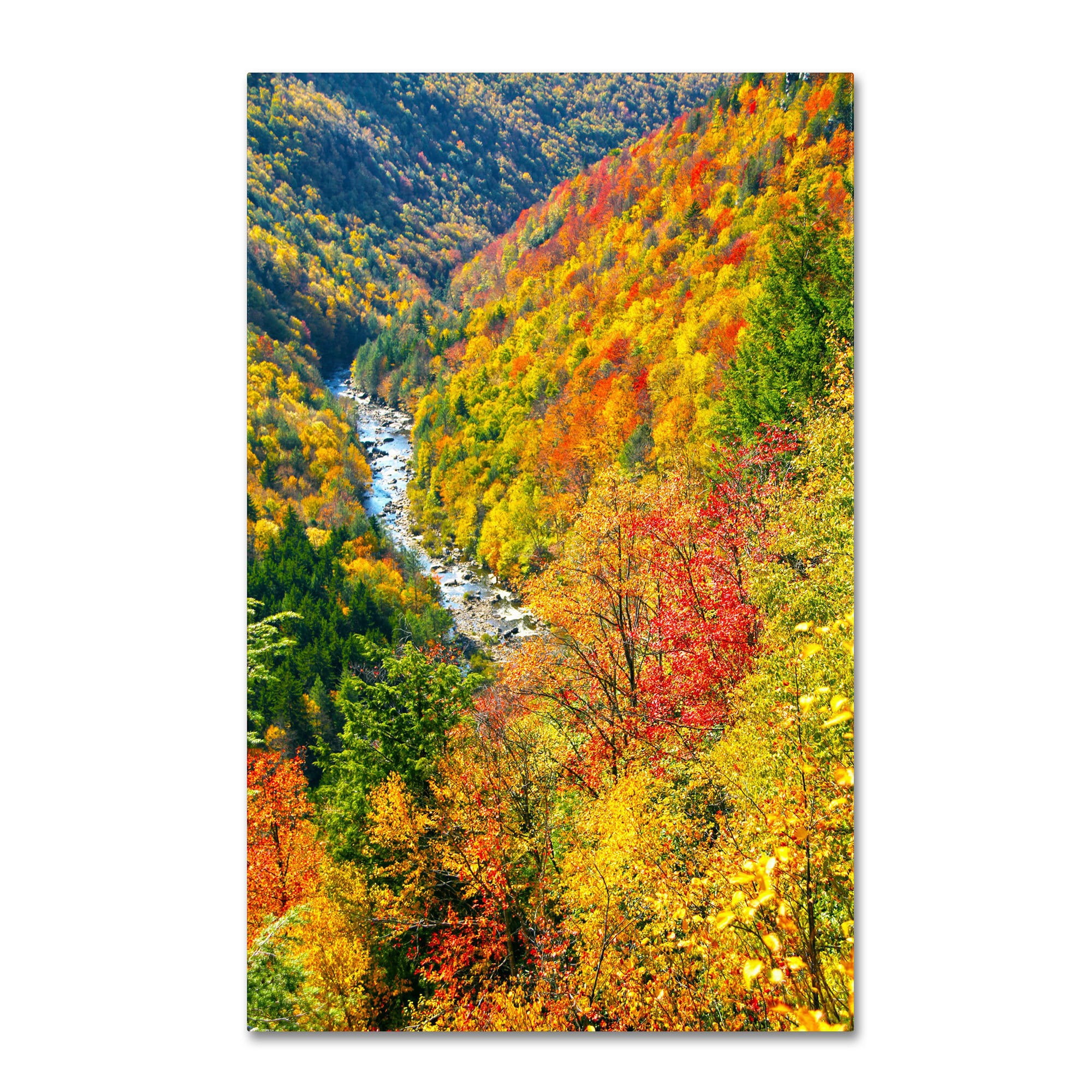 Trademark Fine Art "Valley" Canvas Art by CATeyes