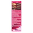 thumbnail image 3 of Revlon ColorSilk Luminista Hair Color, Dark Chocolate Brown, 3 of 8