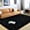 Black, variant on Arogan Fluffy Shaggy Rugs, 4x6 Feet Green Plush Rugs for Girls Bedroom, Soft Kids Room Carpets,Bedside Rug, Upgrade Non-Slip Rugs for Children Nursery Dorm Home Decor, Green