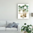 thumbnail image 3 of Trademark Fine Art 'Hex Collage I' Canvas Art by Pam Ilosky, 3 of 3