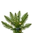thumbnail image 2 of Vickerman 6.5' x 32" Creswell Pine Artificial Christmas Pencil Tree, Warm White Dura-Lit® LED Lights, 2 of 4