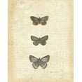 thumbnail image 2 of Pertiet, Katie 15x18 White Modern Wood Framed Museum Art Print Titled - Botanical Butterflies II, 2 of 4
