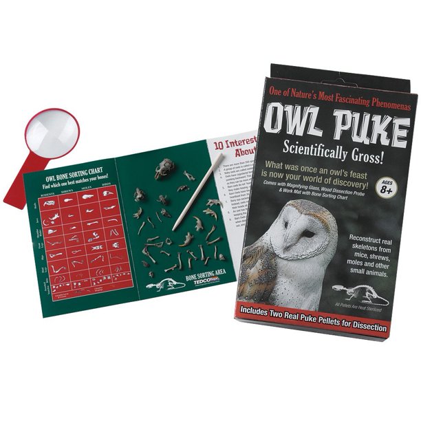 Owl Puke Pellet Dissecting Kit Scientifically Gross Educational Nature Toy Walmart Com Walmart Com