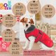 thumbnail image 2 of Abrigo de invierno para perros Dogcheer Christmas impermeable para perros, color rojo, 2 of 6