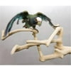 Parrotopia IMS Multi-Branch Perch - Small