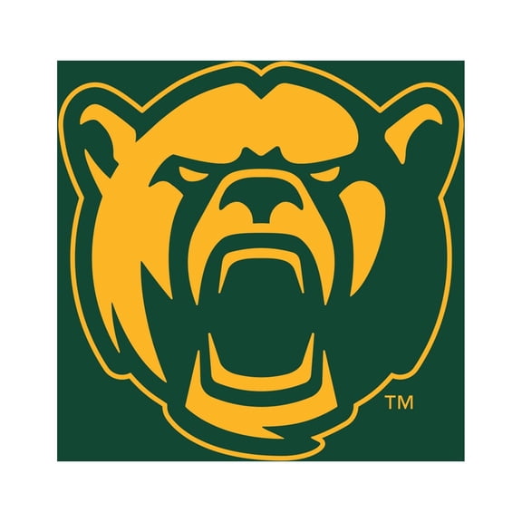 Baylor Bears 28" x 16" Turf Mat