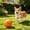 Orange, variant on Interactive Dog Toy Ball Automatic Rolling Smart Pet Toy Boredom Relief Chew Resistant Toy, Motion Sensor Durable Quiet Play Design, for Small Medium Dogs Indoor Exercise Training