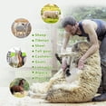 thumbnail image 6 of Soapow 1000W Electric Sheep Shears, Professional Animal Grooming Clippers, Farm Livestock Haircut Kit with 2 Blades, 6 Speed Heavy Duty, for Thick Coat Animals, Cats, Dogs, Pets  (Black), 6 of 9