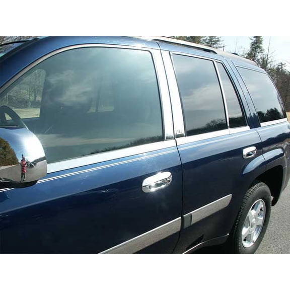 Stainless Steel Window Sill Trim 10Pc Fits 02-08 Chevy Trailblazer WS42290 QAA