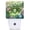 Cute Frog, variant on Painting Ladybug Dusk to Dawn Night Light, Plug-in Warm Lamp for Hallway Bathroom Bedroom Kitchen