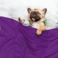 thumbnail image 3 of Disketp Purple Dog Blanket/Bed Cover for Dogs and Cats,Puppy Essentials-Large, 3 of 8