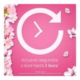 thumbnail image 4 of Aromatizante de Ambiente Air Wick en Aerosol, Magnolia & Cherry 300 ml, 4 of 4