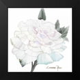 thumbnail image 2 of Rossi, Lorraine 20x20 Black Modern Framed Museum Art Print Titled - Peace Rose 2, 2 of 5