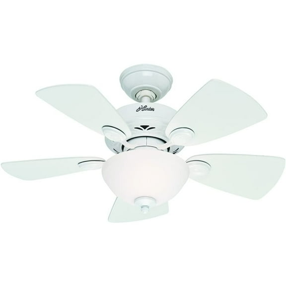 Hunter Watson 34" Quiet Home Ceiling Fan w/ LED Light and Pull Chain, White