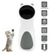 thumbnail image 2 of Automatic bear cat ticker Interactive Smart Teasing Pet Intelligent electric rotating cat baiter Automatic Cat Toys, 2 of 5