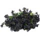 thumbnail image 4 of 10 mechones de flores artificiales para exteriores, flores violetas falsas para interior, exterior, jardín, Patio, porche, ventana, caja, hogar, boda, granja, decoración BANYUO Electrónica, 4 of 6