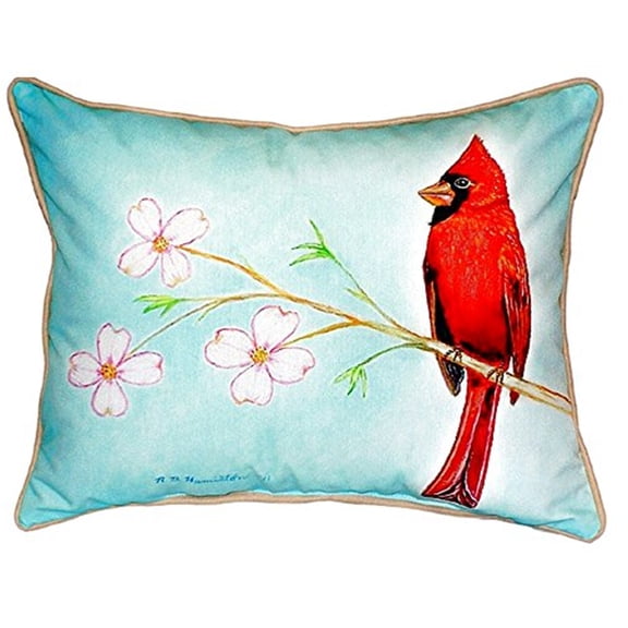 Dick's Cardinal Small Indoor/Outdoor Pillow 11x14