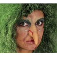 thumbnail image 1 of Fiestas Guirca Latex Sorcière Faux Nez, 1 of 5