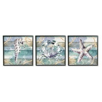 Stupell Industries Sea Life Plank Pattern Animals & Insects Painting Black Framed Art Print Wall Art, 12 x 12, Set of 3