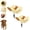 2pcs, variant on Adjustable Dog Sun Hat for Outdoor, Breathable Pet Sun Hat with Ear Holes for Small Medium Dogs and Cats, Dog Bucket Hat Bonnet for Summer Beach Hiking Camping Daily Walks (2pcs,M)