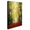 thumbnail image 3 of Trademark Fine Art "Plane Tree Alley" Canvas Art by Philippe Sainte-Laudy, 3 of 4