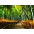 thumbnail image 2 of Wall26 - Mural of a Pathway in a Bamboo Forest - Wall Mural, Removable Sticker, Home Decor - 66x96 inches, 2 of 5