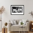 thumbnail image 4 of Historic Framed Print, Little white kitties: into mischief, 17-7/8" x 21-7/8", 4 of 9