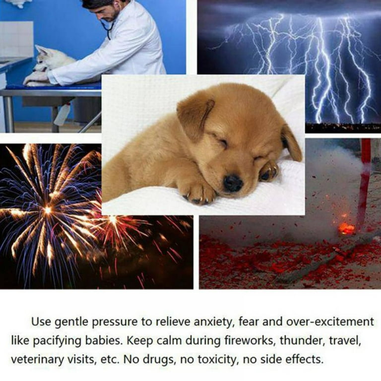 Helping Your Dog Overcome Fear of Thunderstorms and Fireworks - 2 Supplements for anxiety and stress relief