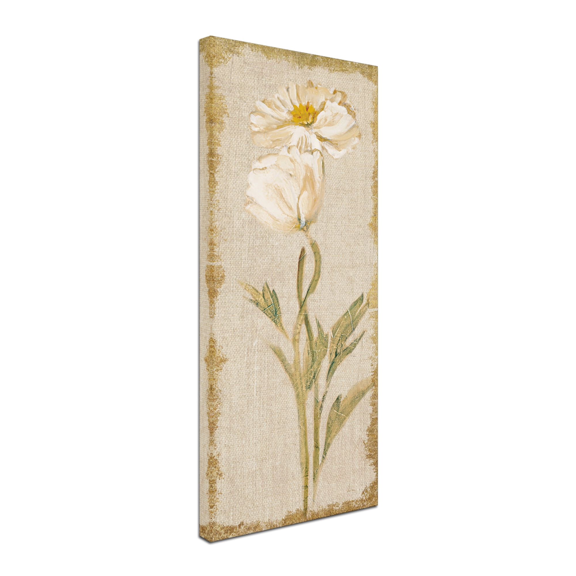 Trademark Fine Art 'Cosmo Panel on White Vintage v2' Canvas Art by Cheri Blum