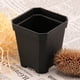 thumbnail image 5 of 300PCS Maceta Desechable para Plantas Pequeña Maceta de Corte Cuadrado Negro Plástico Maceta Cuadrada, 5 of 7