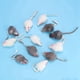 thumbnail image 1 of Ratón Falso De Juguete Para Gatos, Juguetes Para Gatos Sonido De Ratón De Juguete Para Gatos, Mini Juguete Divertido Para Gatos Para Jugar Con Mascotas ANGGREK Otros, 1 of 8