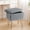 Gray, variant on TINKLE WELL Storage Vanity Stool Chair, Soft Faux Fur Makeup Ottoman, Adjustable Anti-Slip Feet, Modern Footrest for Bedroom, Makeup, Entryway, White