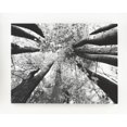 thumbnail image 1 of Design Signature de Ashley Ananya Collection Art Mural, Noir/blanc, 1 of 2