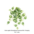 thumbnail image 4 of Toystoory Hojas falsas, vides, plantas colgantes artificiales, maceta de jardín de hojas Type3 NO3, 4 of 6