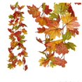 thumbnail image 2 of TGNAZET Artificial Maple Leaf Hanging Vine Garland, 3 Pack, Green/Yellow/Orange/Red, 5.7 ft, 2 of 6
