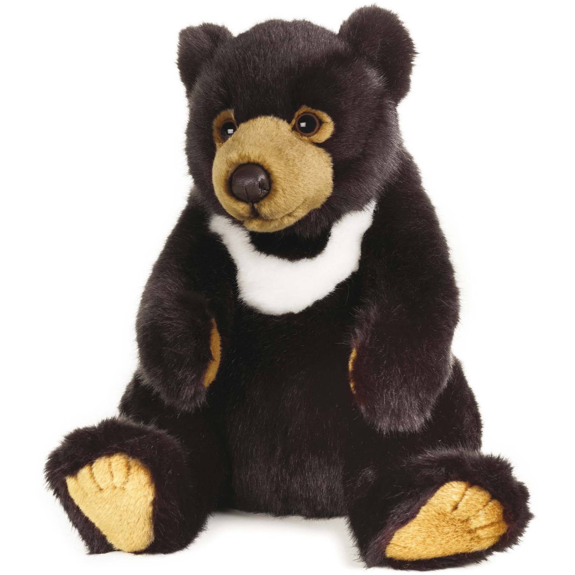 sun bear soft toy