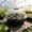 F, variant on Upgraded 13 Hole Covered Breathable Seeded Box And Seeded Tray Cultivation Box Green Plants Cultivation Tray Set Equipped With Adjustable Ventilation Openings H