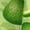 2 Black-1, variant on Green Avocado Print Adult Socks for Men & Women,Calf Socks, Ankle Socks,Boots Socks,Breathable Casual Sock,Unisex Crew Socks