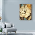 thumbnail image 3 of Trademark Fine Art 'Cream Flower Illustrations 1' Canvas Art by Marietta Cohen Art And Design, 3 of 3