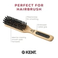 thumbnail image 4 of Kent PF06 Natural Wood Boar Bristle Brush - Straightening and Styling Brush for Short to Medium Length Hair, Travel and Smoothing Brush, 4 of 6