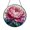 Acrylic 3.5 Inch, variant on Bright Purple Lavender Suncatcher Hanging Window Plaque Piece Art