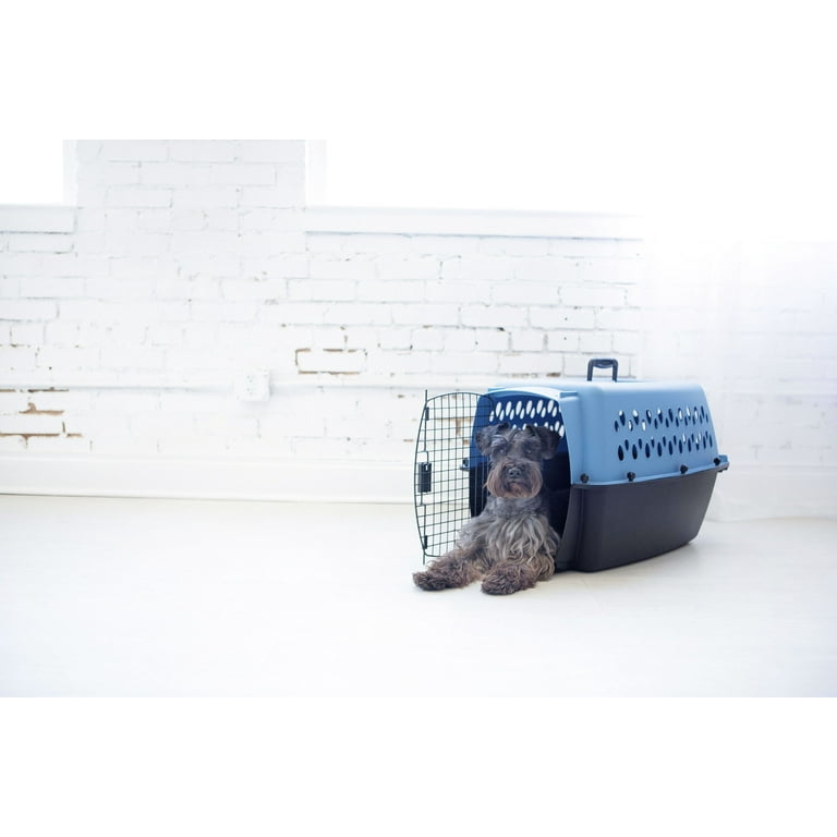 Petmate Pet Porter 26 Travel Fashion Dog Kennel Portable Medium Pet Carrier for Dogs 20 25 lb Blue